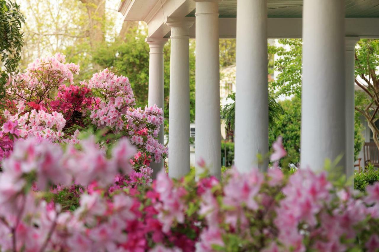 White Doe Inn Bed & Breakfast Manteo Bagian luar foto